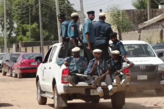 Yobe Hisbah destroys alcohol, arraigns suspected prostitutes