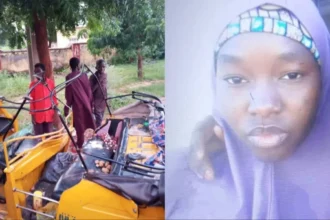Yobe: Vehicle crushes 100 level student to death, injures four others
