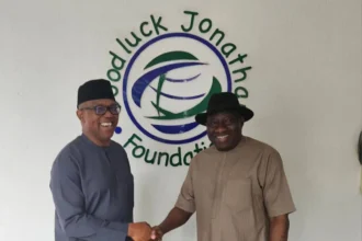 2027: My meeting with Goodluck Jonathan fruitful – Peter Obi