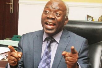 2027: Punish offenders of early campaign – Falana urges INEC