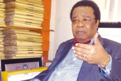 Africa must re-evaluate its approach to diplomacy – Akinyemi