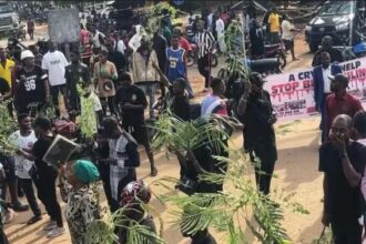 Angry Benue Youths Barricade Highway With Five Corpses Of Armed Herdsmen Victims
