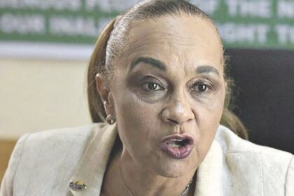 Emergency Rule Suspension: Tinubu Did Rivers People No Favour – Briggs