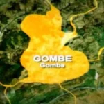 Father, Son arrested for alleged rape of 13-year-old girl in Gombe