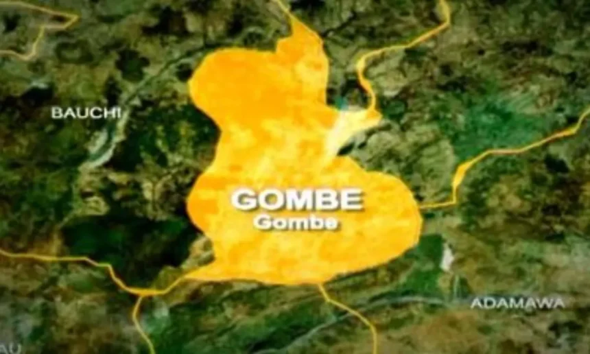 Father, Son arrested for alleged rape of 13-year-old girl in Gombe