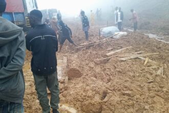 Group decries delays in N95bn Bali–Serti–Gembu road project