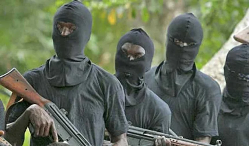 Gunmen kill 8 NSCDC personnel at BUA Cement Company, abduct Chinese expatriate in Edo