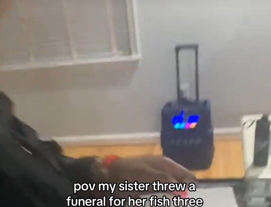 Lady Recounts Moment Her Younger Sibling Held a Fúneral for Her Pet Fish That D!ed (VIDEO)