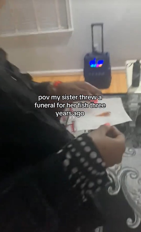 Lady Recounts Moment Her Younger Sibling Held a Fúneral for Her Pet Fish That D!ed (VIDEO)
