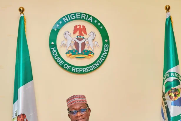 Let me leave in peace – Kofa tells NNPP