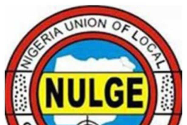 Local Govt Commission suspends NULGE election over violence in Edo