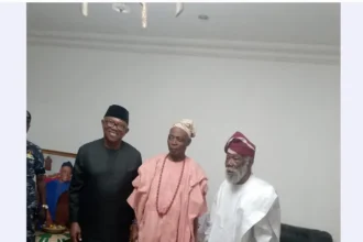 Many erroneously believe Olubadan throne is for glamour – Ladoja