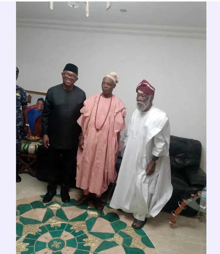 Many erroneously believe Olubadan throne is for glamour – Ladoja
