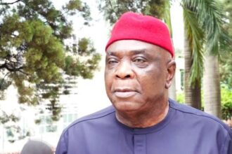 Nigeria Does Not Operate True Democracy But Civil Rule – PDP Chieftain Ulasi