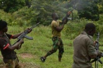 Panic As Gunmen Abduct Top Aide Of Nasarawa State Governor
