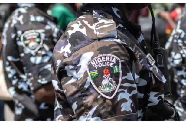 Police arrest fake soldier, three suspected car thieves in Jigawa