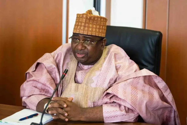 PVC only legitimate weapon in politics, not violence — Kebbi Gov, Idris