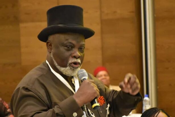 Rivers: Emergency rule flawed from start – Sara-Igbe