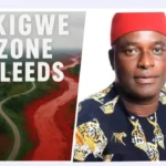 Senator Achonu condemns kidnapping of Ngozi Ogbu in Okigwe, calls for immediate release