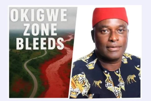 Senator Achonu condemns kidnapping of Ngozi Ogbu in Okigwe, calls for immediate release