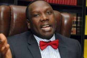 Seyi can challenge his father, Tinubu for president – Bwala