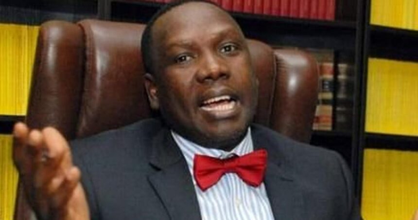 Seyi can challenge his father, Tinubu for president – Bwala
