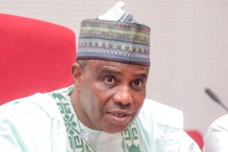 Tinubu cannot defeat united opposition of Jonathan, Atiku, Obi, Kwankwaso – Tambuwal