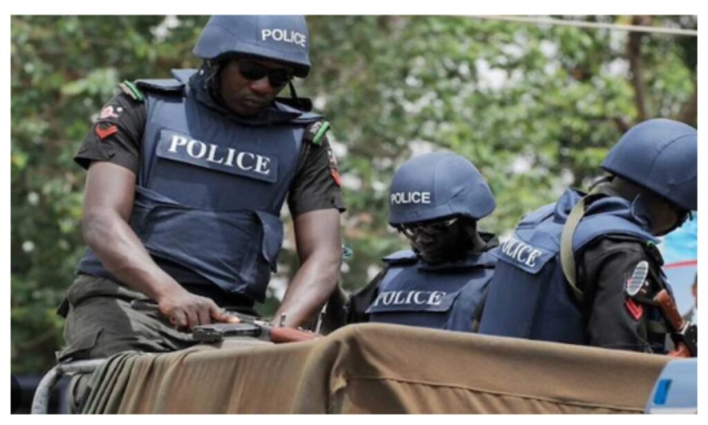 Two arrested for alleged criminal conspiracy, store breaking in Adamawa