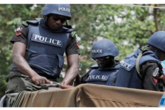 Two arrested for alleged criminal conspiracy, store breaking in Adamawa