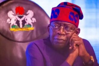 Withdraw Charges Against Sowore, X, Facebook – SERAP, Amnesty International Tell Tinubu