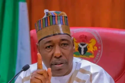 Zulum leads N’East govs to Tinubu, demands urgent completion of 17 roads, oil exploration