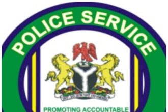 Alleged abuse of office: Police Service Commission asked to probe AIG