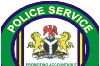 Alleged abuse of office: Police Service Commission asked to probe AIG