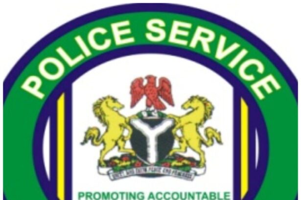 Alleged abuse of office: Police Service Commission asked to probe AIG