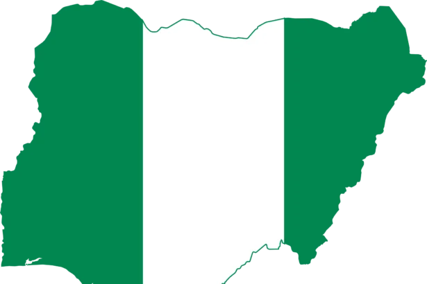 Alleged Genocide: Intersociety outlines 21 measures Nigerian Government should take