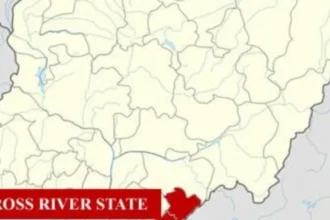 Cross River community elders allegedly demand cows, N5m from firms to mine gold