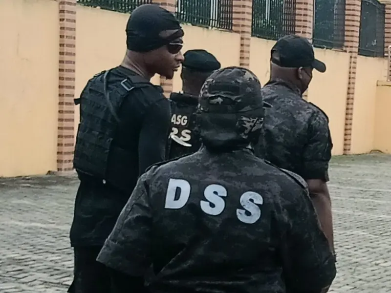 DSS arrests armed dealer, intercepts sophisticated weapons in Delta