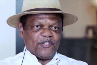 Electoral reforms: Nigeria’s judiciary failed woefully – Atedo Peterside