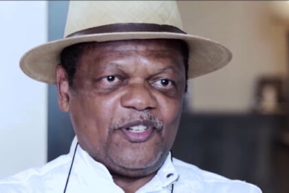 Electoral reforms: Nigeria’s judiciary failed woefully – Atedo Peterside