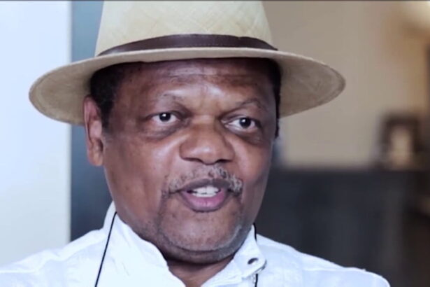 Electoral reforms: Nigeria’s judiciary failed woefully – Atedo Peterside