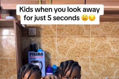 Mom Shares Hilarious Kitchen Mishap as her Twin Toddlers Use Blender as Washing Machine (WATCH)
