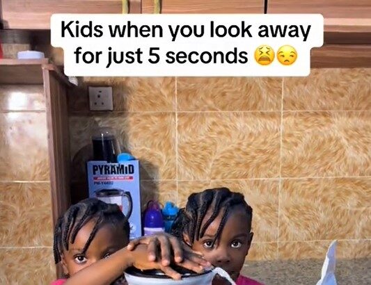 Mom Shares Hilarious Kitchen Mishap as her Twin Toddlers Use Blender as Washing Machine (WATCH)