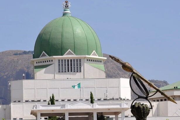National Assembly approves additional state for South-East