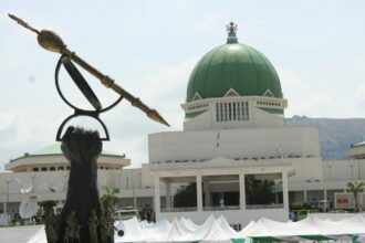 Northern Patriots demand recall of all lawmakers, accuse National Assembly of betraying Nigerians