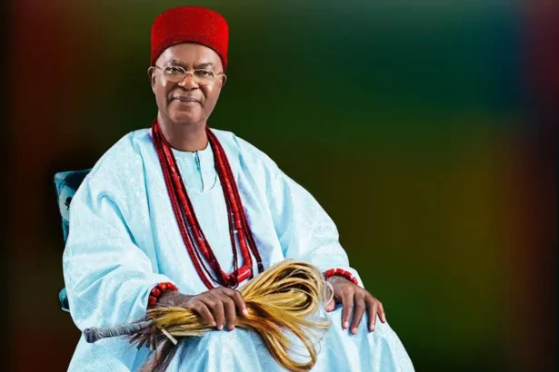 Obi of Onitsha laments rising poverty, insecurity in Nigeria