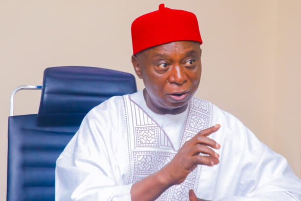 Senator Ned Nwoko denies taking new wife, threatens legal action over viral video