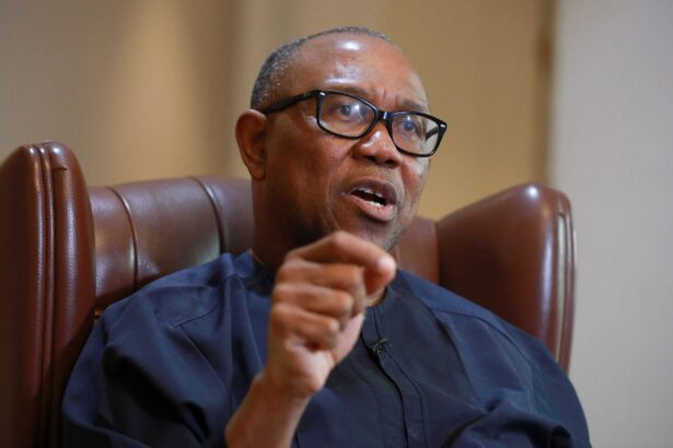 Some Nigerian internet scammers are geniuses but need redirection — Peter Obi