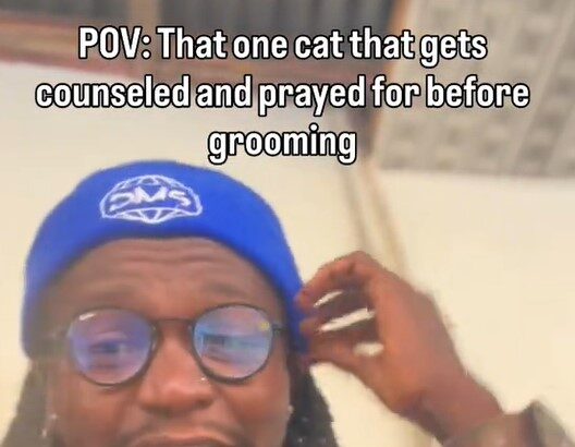 “This one has serious pride” – Groomer Shares How He Has to Soothe a Cat Before Trimming Its Hair (WATCH)