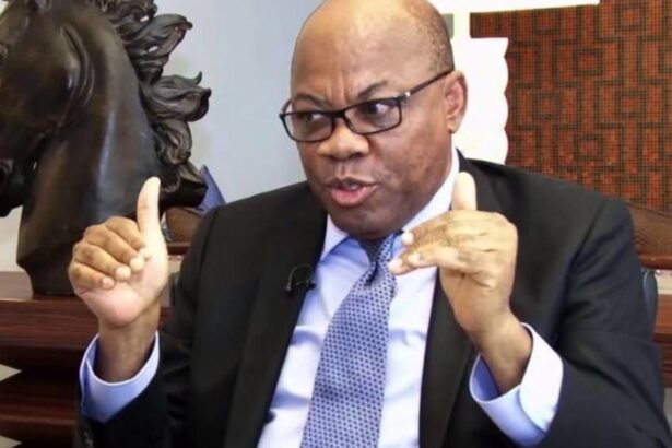 Tinubu right to reshuffle service chiefs if coup rumour was true – Olisa Agbakoba