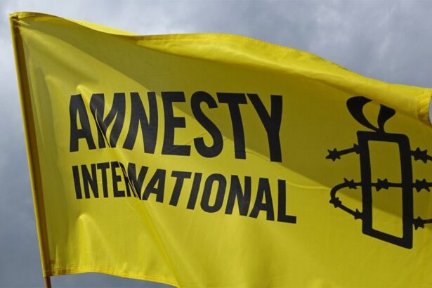 Abductions, setback for education in Northern Nigeria – Amnesty International